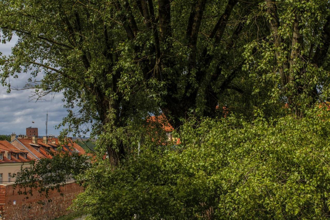 Ivis House - Classical With Balcony In Old Town Vilnius